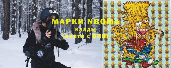 спайс Гусь-Хрустальный