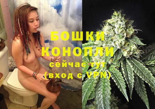 соль ск Гусиноозёрск