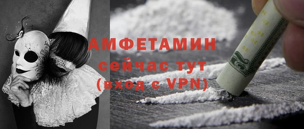 спайс Гусь-Хрустальный