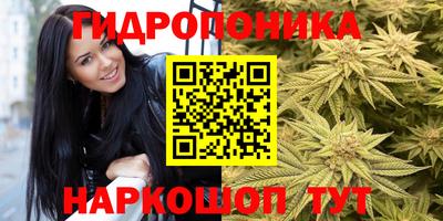 PSILOCYBIN Волжский