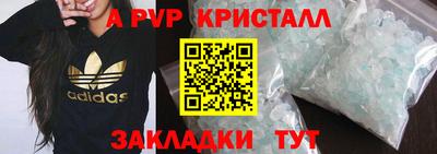 PSILOCYBIN Волжский
