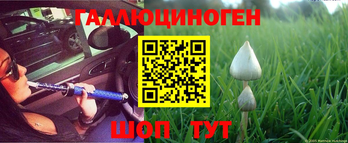 Галлюциногенные грибы Cubensis Гусь-Хрустальный