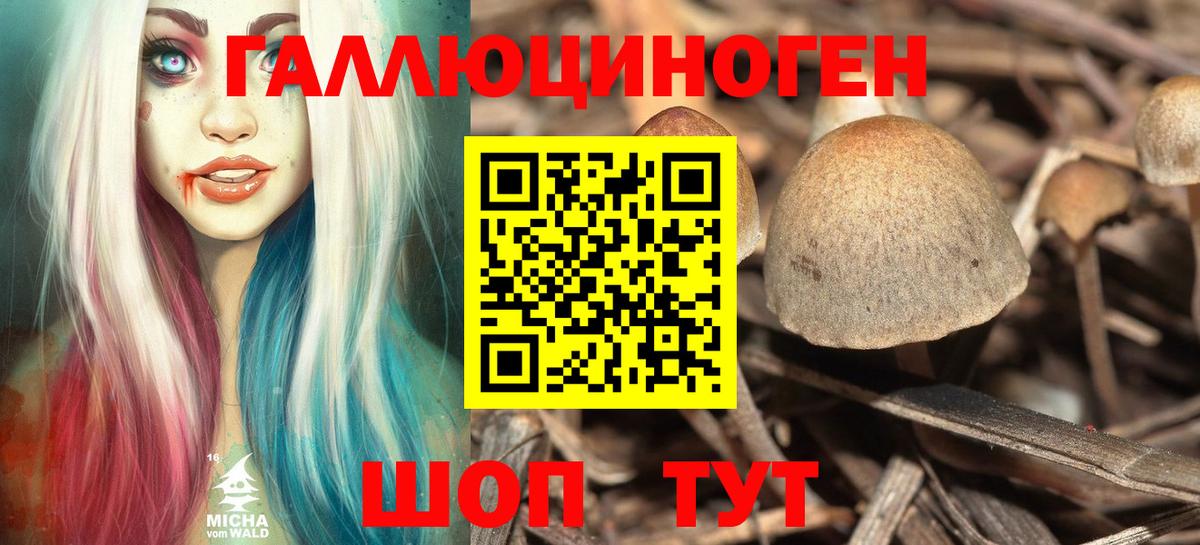 Гусь-Хрустальный  Хэш  COCAIN  Конопля  A PVP  Канабис  Вход с VPN  АМФЕТАМИН  Мяу-Мяу  ГАШИШ 