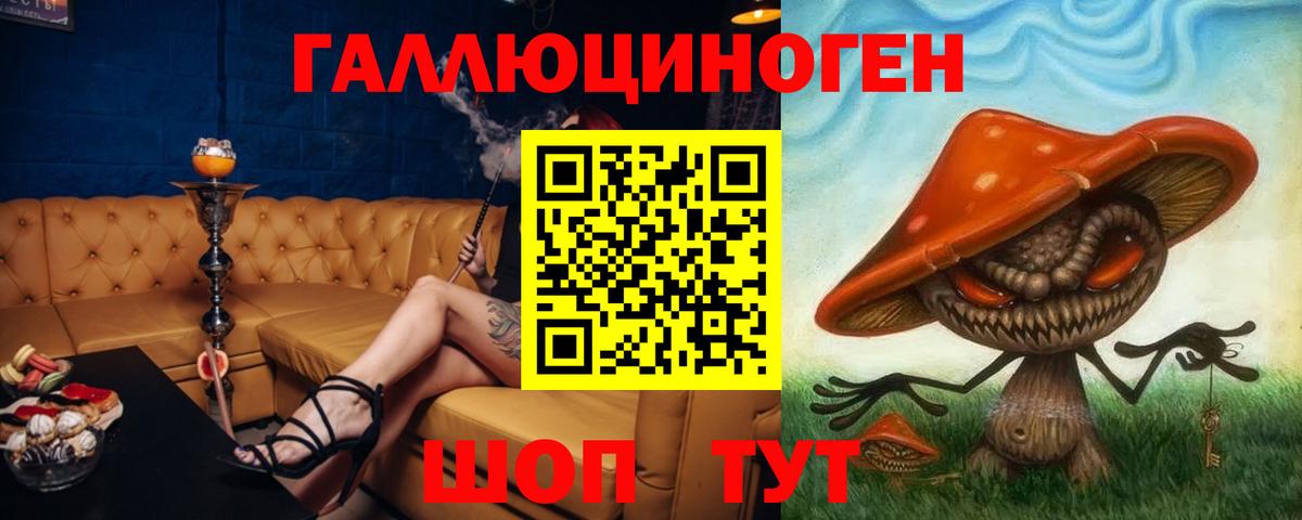 Гусь-Хрустальный  Галлюциногенные грибы Psilocybine cubensis  Вход с VPN 
