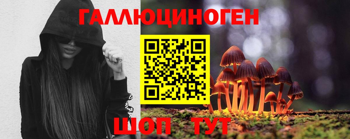 Галлюциногенные грибы Magic Shrooms  Гусь-Хрустальный 